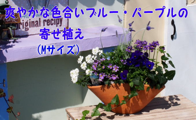 yqszu[Ep[v̊񂹐AiM`MTCYj1  A
