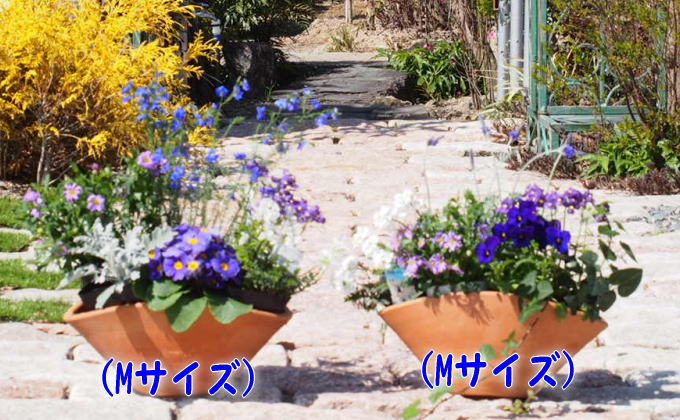福岡県朝倉市のふるさと納税 ブルー・パープルの寄せ植え（舟形Mサイズ）2個 花 植物