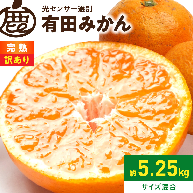 2026年11月上旬～2027年1月下旬頃に順次発送》【2026年先行予約】家庭