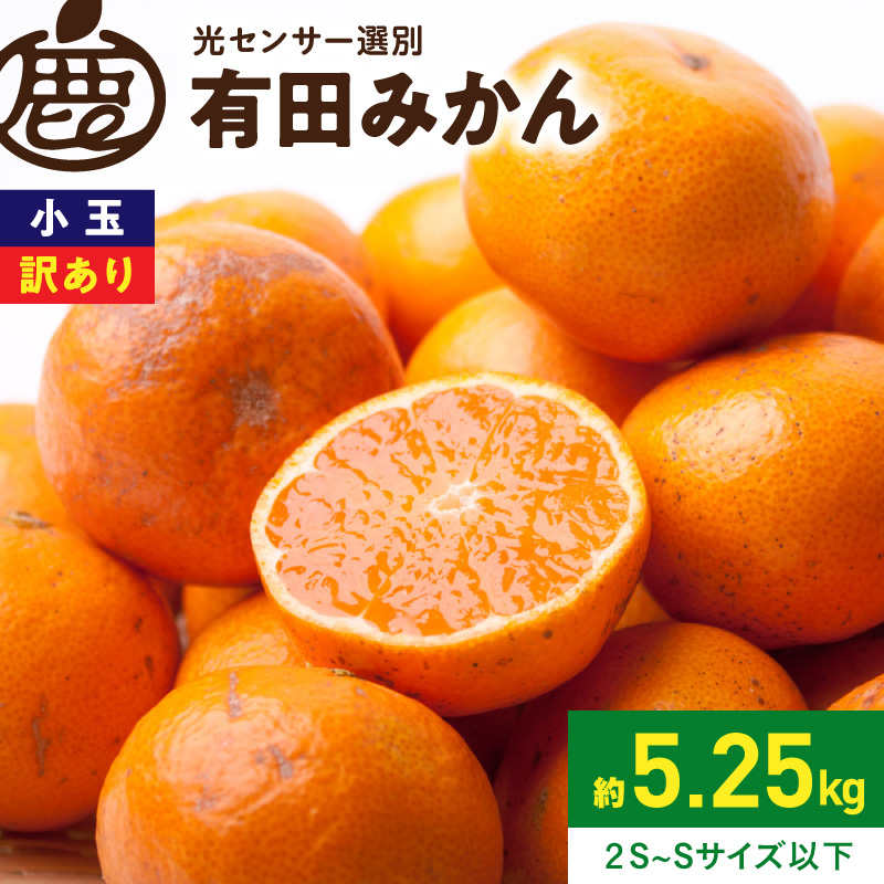 228)数量限定　甘すぎる　有田みかん　果物 　みかん　小玉　旬 2026年11月上旬～2027年1月上旬頃に順次発送》【直営限定】家庭用 小玉