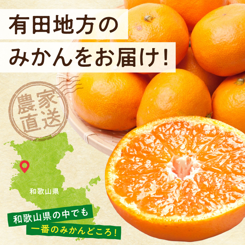 2026年11月上旬～2027年1月下旬頃に順次発送》【直営限定】【2026年 