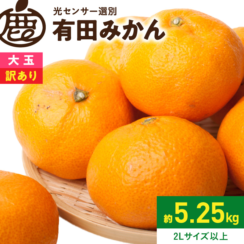 Not Found | 和歌山県湯浅町ふるさと納税直営サイト「ゆあさんぽ」