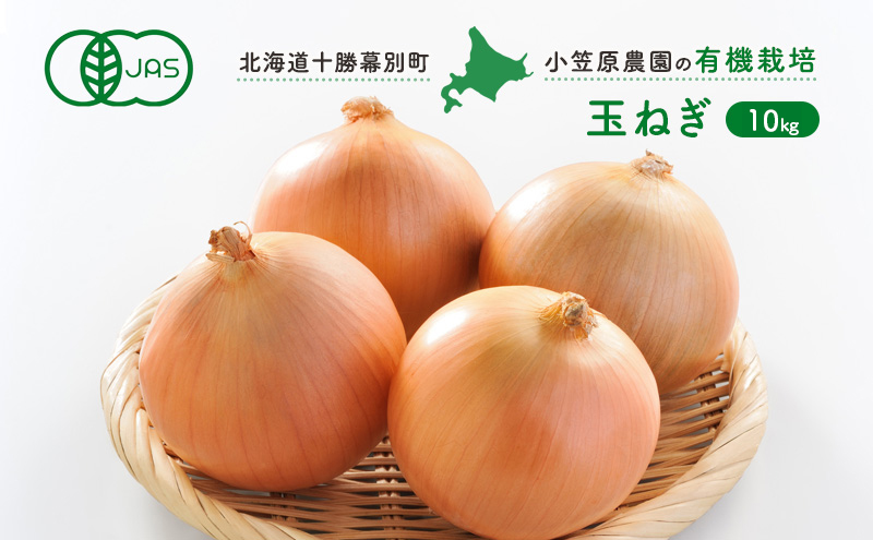 有機白玉ねぎ 約20キロ 香川産 淡路産 むき玉ねぎ 20キロ 上下切り落とし 皮をむく手間が