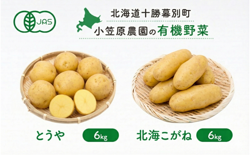 小笠原農園の有機じゃがいも 2種詰合せ（とうや6kg・北海こがね6kg）北海道 十勝 幕別《2026年秋出荷先行予約》【 野菜 芋 じゃがいも とうや 北海こがね セット 】 