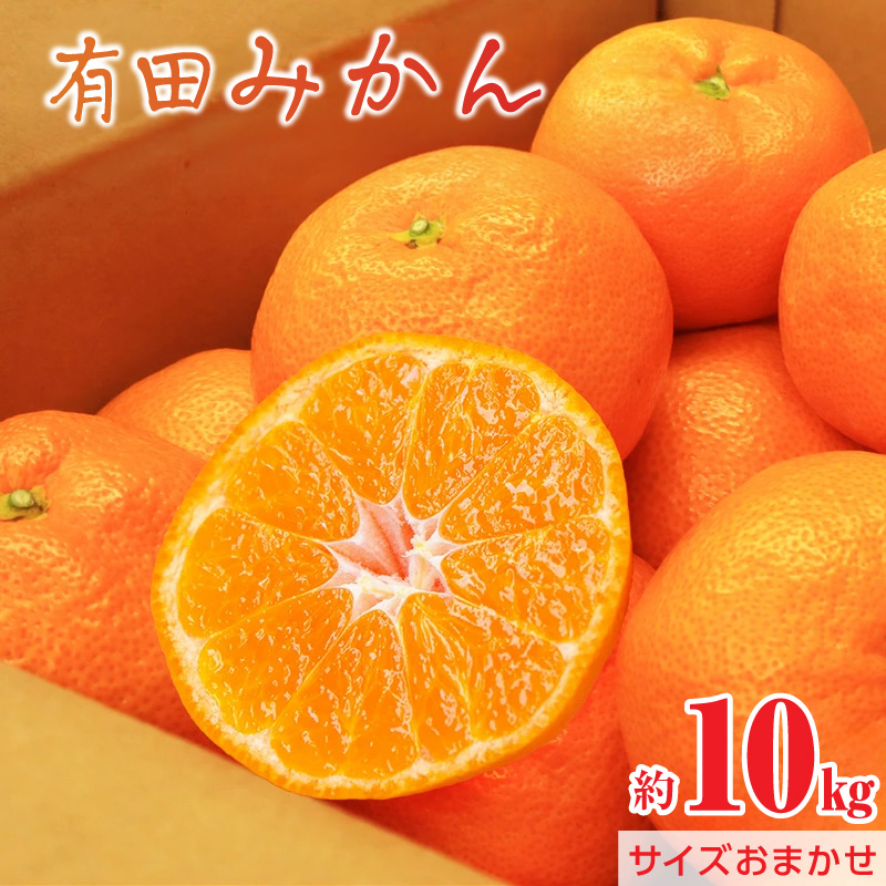 直営限定】【2026年先行予約】有田みかん 約10kg_AW6117_Y | 和歌山県