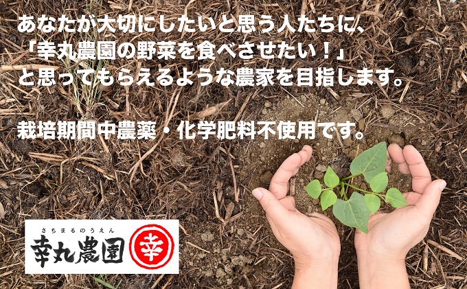 ジュース にんじん さちまる農園のにんじんジュース　710ml×2本 果汁飲料 野菜飲料 人参 ミックスジュース 