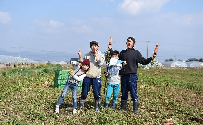 ジュース にんじん さちまる農園のにんじんジュース　710ml×2本 果汁飲料 野菜飲料 人参 ミックスジュース 