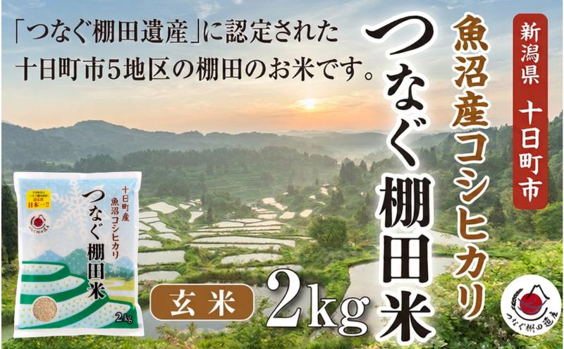 玄米2kg 令和7年産新潟県十日町市魚沼産コシヒカリ「つなぐ棚田米」 米