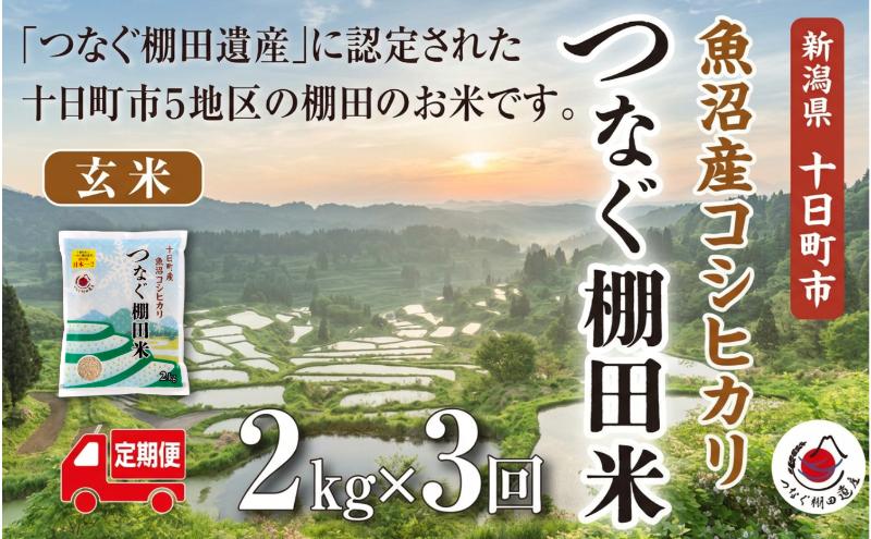 定期便／全3回】玄米2kg 令和7年産新潟県十日町市魚沼産コシヒカリ