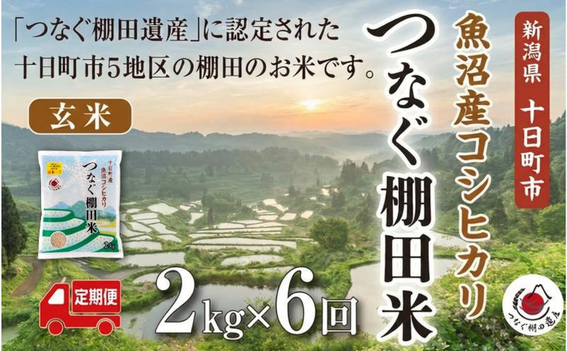 定期便／全6回】玄米2kg 令和7年産新潟県十日町市魚沼産コシヒカリ