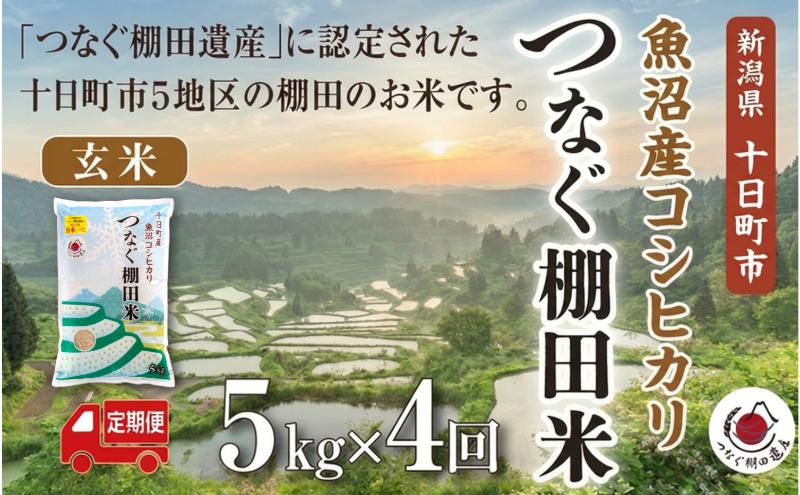 定期便／全4回】玄米5kg 令和7年産新潟県十日町市魚沼産コシヒカリ
