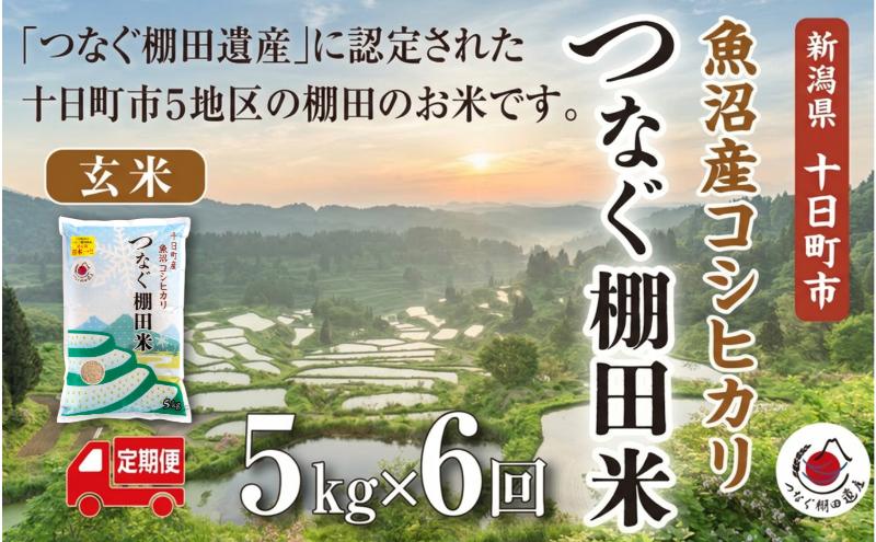 定期便／全6回】玄米5kg 令和7年産新潟県十日町市魚沼産コシヒカリ