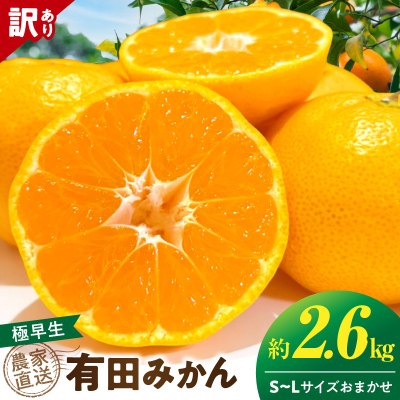 2026年11月上旬～11月中旬頃までに順次発送予定》【直営限定】【2026年
