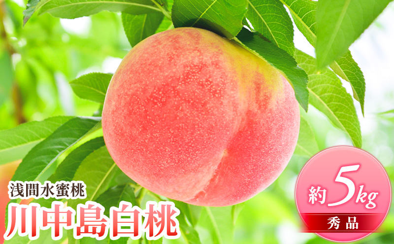 �y���쌧�����s�z��s�\�� 2026�N���� ��Ԑ����� ���� �쒆������ �G�i ��5kg �ӂ邳�Ɣ[��  ���쌧�Y �����s �� �ʕ� �t���[�c ���� �ʓ�