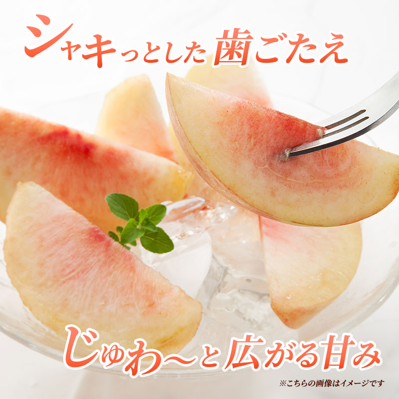 先行予約 2026年発送 浅間水蜜桃 もも 川中島白桃 秀品 約5kg ふるさと納税  長野県産 小諸市 桃 果物 フルーツ モモ 果肉