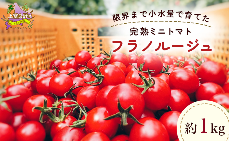 訳あり 北海道 完熟 新鮮 ミニトマト フラノルージュ 1kg 上富良野