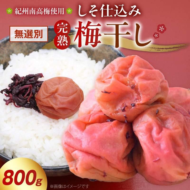 紀州南高梅使用 しそ仕込み完熟梅干し 無選別 800g_ZD7036 | 和歌山県