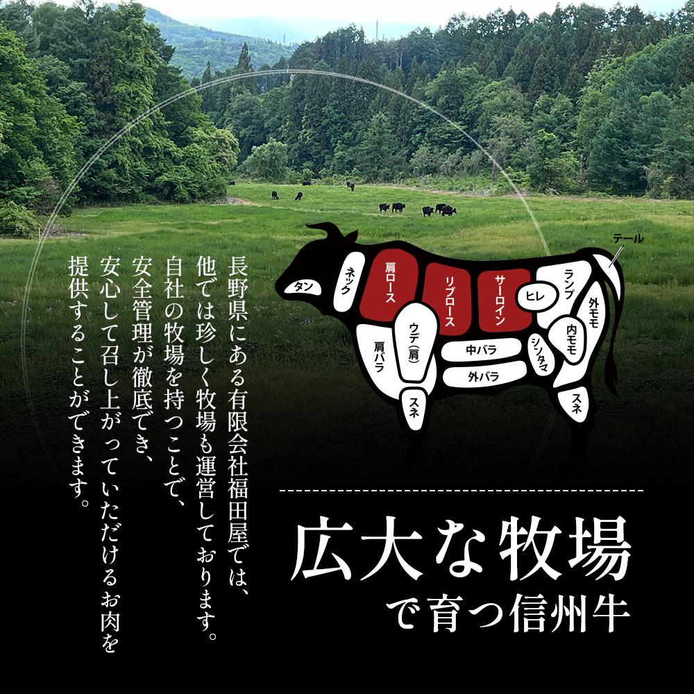 【りんごで育った信州牛】ステーキ用3枚入り【 牛肉 信州牛 サーロインステーキ 黒毛和牛 A4 サーロイン ステーキ 肉 お肉 牛 和牛 焼肉 焼き肉 BBQ バーベキュー ギフト 冷蔵 長野県 長野 】 