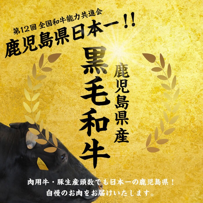 鹿児島県志布志市のふるさと納税 【数量限定】鹿児島県産黒毛和牛サーロインステーキ 200g×4枚 黒毛和牛 和牛 牛肉 A4等級 サーロインステーキ サーロイン ステーキ 霜降り 数量限定 九州産 国産 b7-011