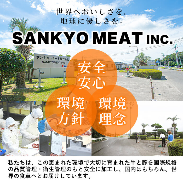 鹿児島県志布志市のふるさと納税 【数量限定】鹿児島県産黒毛和牛サーロインステーキ 200g×4枚 黒毛和牛 和牛 牛肉 A4等級 サーロインステーキ サーロイン ステーキ 霜降り 数量限定 九州産 国産 b7-011