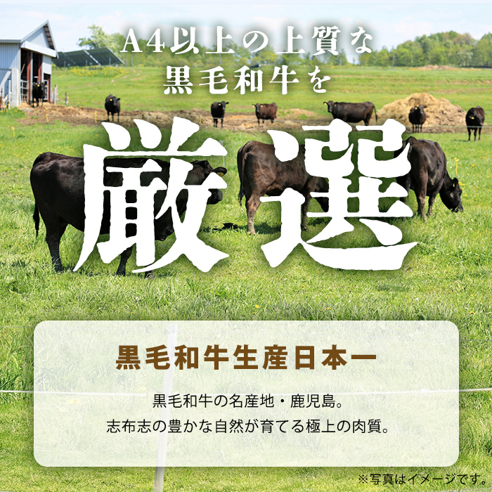 鹿児島県志布志市のふるさと納税 【数量限定】鹿児島県産黒毛和牛サーロインステーキ 200g×4枚 黒毛和牛 和牛 牛肉 A4等級 サーロインステーキ サーロイン ステーキ 霜降り 数量限定 九州産 国産 b7-011