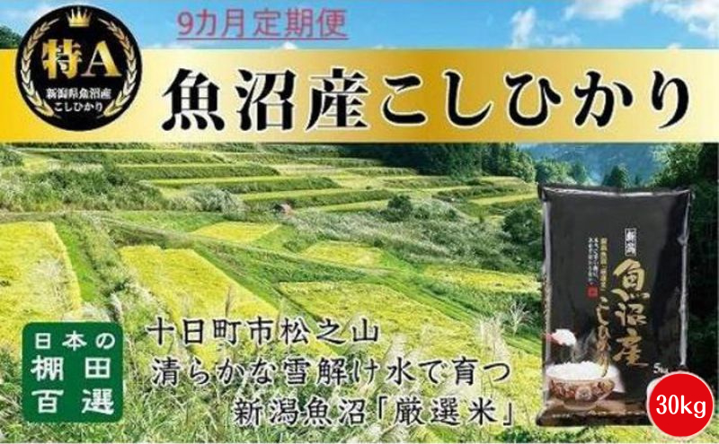 令和8年産 先行予約】9カ月 定期便 日本棚田百選のお米 天空の里 魚沼