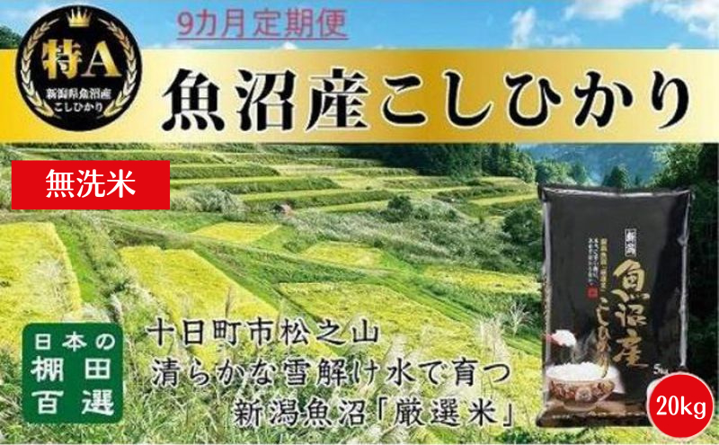 令和8年産 先行予約】 無洗米 9カ月 定期便 日本棚田百選のお米 天空の