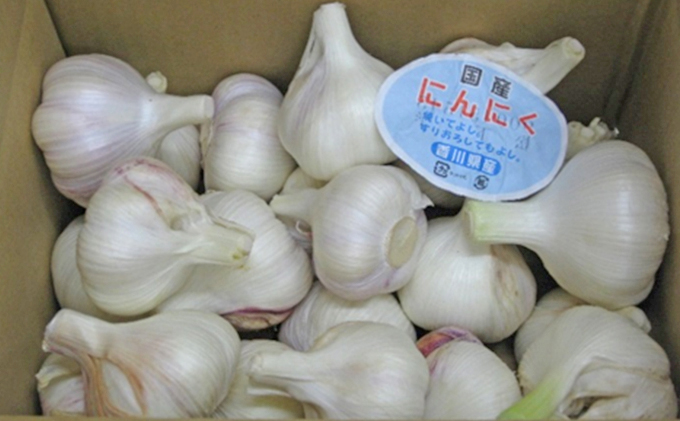 【香川県土庄町】【 小豆島 】島育ち!生にんにく(新物)約2kg 野菜 根菜