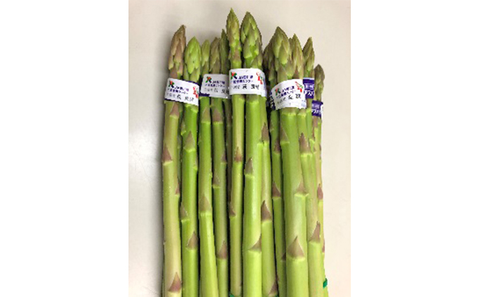香川県土庄町のふるさと納税 【 小豆島 】島育ち！アスパラ「さぬきのめざめ」夏芽1kg アスパラガス 野菜 野菜セット
