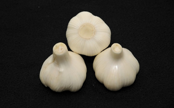 【 小豆島 】島育ち！生にんにく（新物）約２kg 野菜 根菜 