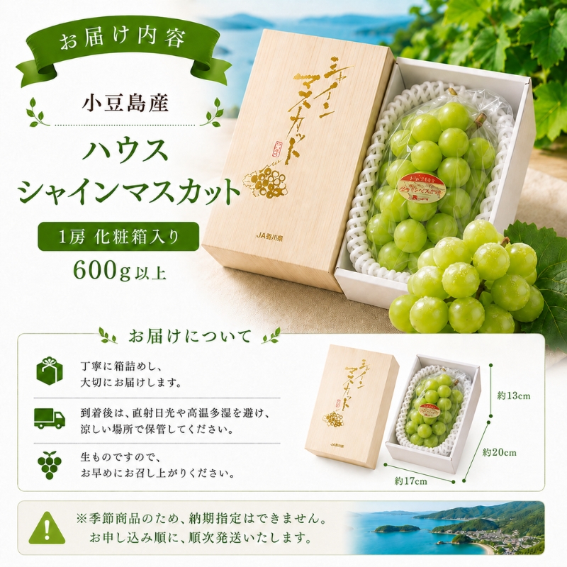 小豆島 】島育ち！ハウスシャインマスカット 1房化粧箱入り 600g以上