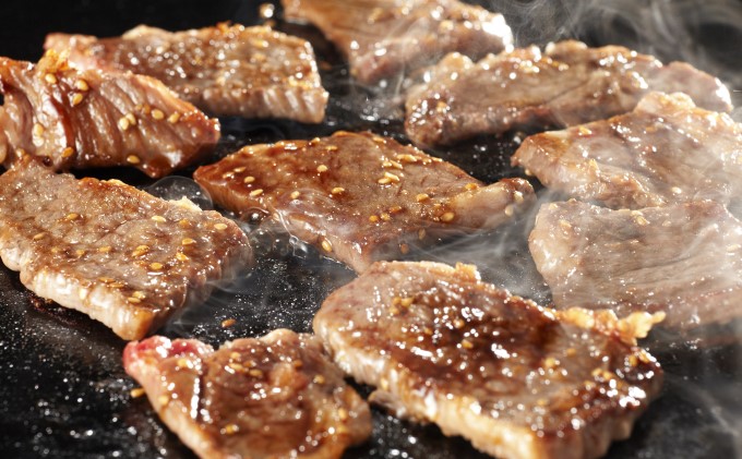 井上牧場 朝倉和牛　焼肉セット（肩ロース） ※配送不可：離島 お肉 牛肉 バーベキュー 