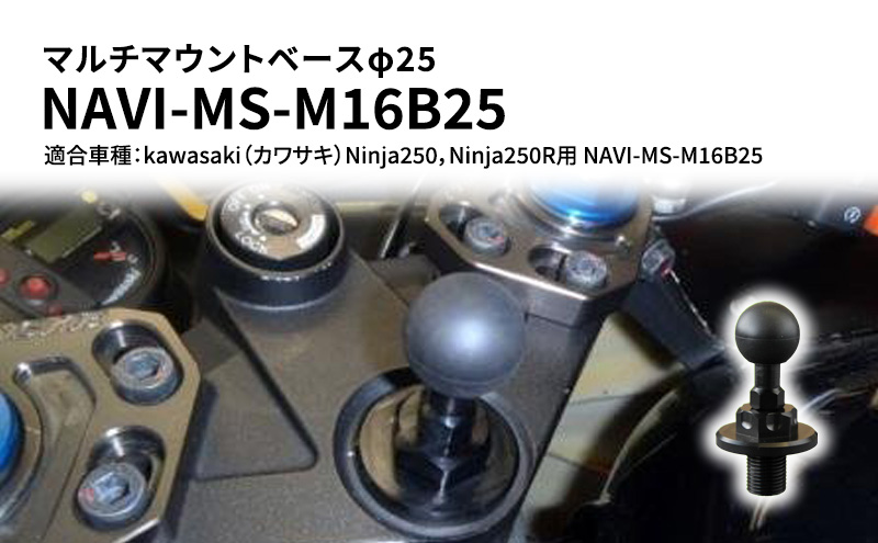 yɌsz}`}Egx[X25@}`}Egx[X25@kawasakiiJTLjNinja250CNinja250Rp NAVI-MS-M16B25 G pi