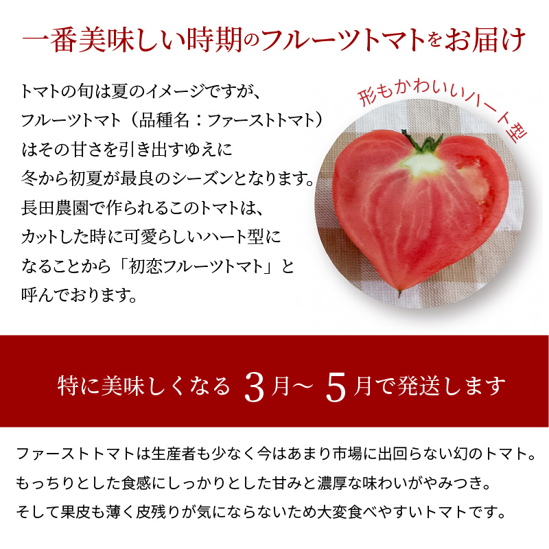 愛知県碧南市のふるさと納税 【2026年度予約分】【予約受付】 たった3ヶ月しか食べられない 幻 フルーツ トマト ファーストトマト 容量 約700g 特に美味しい 3月 〜 5月 限定発送 長田農園 完全木熟栽培 果皮 薄い もっちり食感 甘い リコピン 野菜 碧南市 送料無料 H004-120