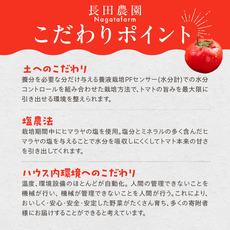 愛知県碧南市のふるさと納税 【2026年度予約分】【予約受付】 たった3ヶ月しか食べられない 幻 フルーツ トマト ファーストトマト 容量 約700g 特に美味しい 3月 〜 5月 限定発送 長田農園 完全木熟栽培 果皮 薄い もっちり食感 甘い リコピン 野菜 碧南市 送料無料 H004-120