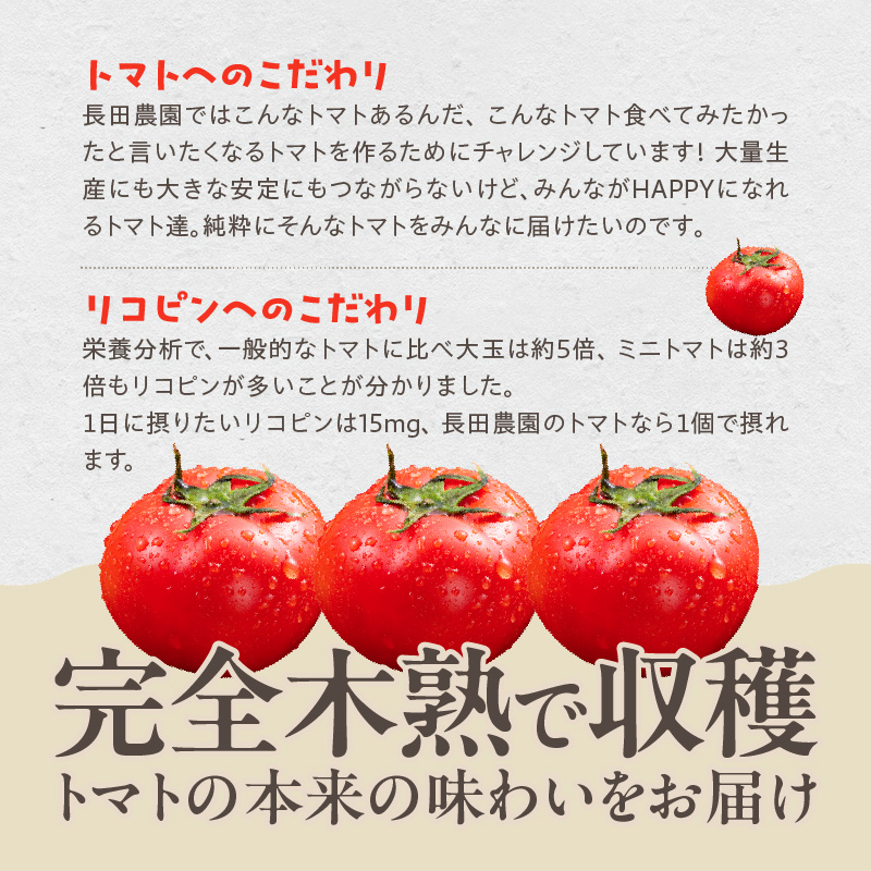 愛知県碧南市のふるさと納税 【2026年度予約分】【予約受付】 たった3ヶ月しか食べられない 幻 フルーツ トマト ファーストトマト 容量 約700g 特に美味しい 3月 〜 5月 限定発送 長田農園 完全木熟栽培 果皮 薄い もっちり食感 甘い リコピン 野菜 碧南市 送料無料 H004-120