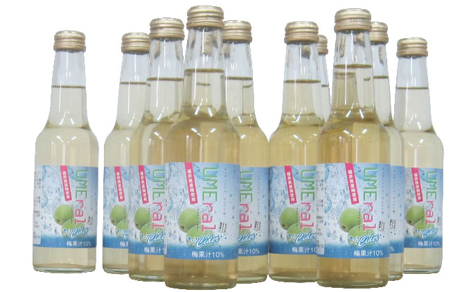 若狭の梅サイダー（ウメラルサイダー）1ケース24本　福井県産梅を使用 果汁飲料 ジュース 飲料類 炭酸飲料 