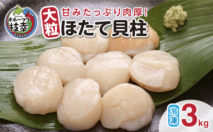 北海道枝幸町のふるさと納税 【枝幸ほたて】甘みたっぷり肉厚！大粒冷凍ほたて貝柱3kg 山武水産【 ほたて 帆立 ホタテ 魚貝類 魚介類 海鮮 大粒 ボイル 冷凍 北海道 オホーツク 枝幸 】