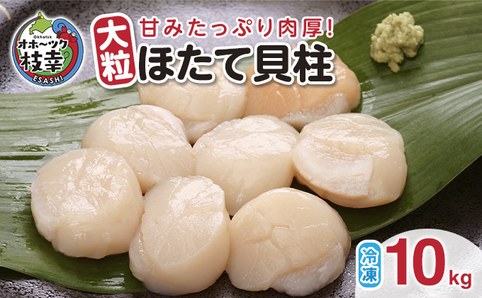 北海道枝幸町のふるさと納税 【枝幸ほたて】甘みたっぷり肉厚！大粒冷凍ほたて貝柱10kg 山武水産【 ほたて 帆立 ホタテ 魚貝類 魚介類 海鮮 大粒 ボイル 冷凍 北海道 オホーツク 枝幸 】