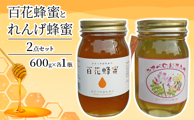 ＜ れんげ 蜂蜜 ＞と＜ 百花 蜂蜜 ＞の2点 セット はちみつ 加工食品 