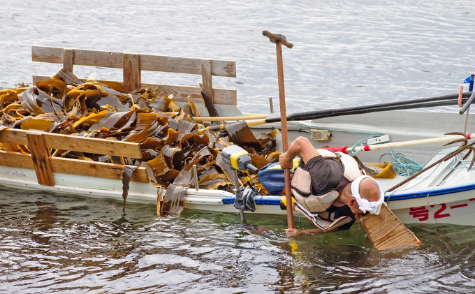 北海道礼文島産天然利尻だし昆布（バラ）4kg 