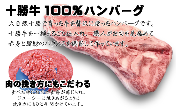北海道 十勝牛ハンバーグ200g×4とインカのめざめフライドポテト250g×2【 セット 牛100% 国産牛 牛肉 ハンバーグ 芋 いも ポテト 惣菜 小分け 冷凍 牛肉100% 大きい 国産 北海道 十勝 幕別 ふるさと納税 送料無料 】