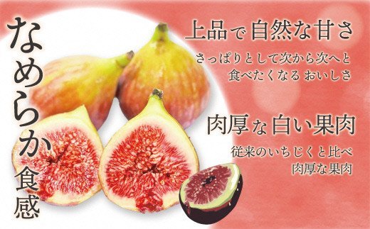 福岡県福津市のふるさと納税 【2026年8月より順次発送】福岡県産とよみつひめ　約300g×4パック[G2223]