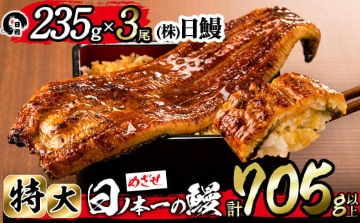 鹿児島県志布志市のふるさと納税 日ノ本一の鰻の蒲焼き＜特大＞3尾セット(計705g以上) c2-009