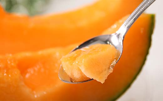 【先行予約】令和8年産 妃メロン 赤肉 大玉 2玉（令和8年7月下旬～8月中旬発送予定） 北海道 n-0189