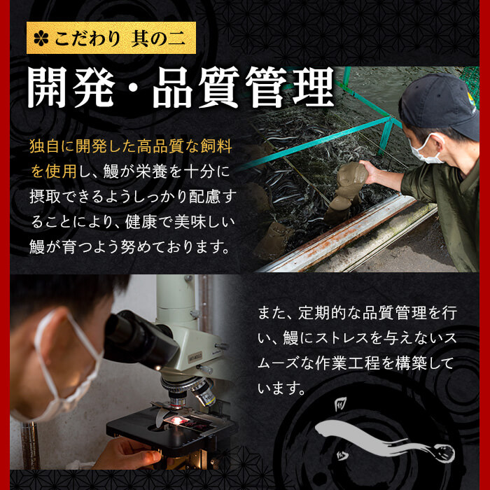 鹿児島県志布志市のふるさと納税 日ノ本一の鰻の蒲焼き＜特大＞3尾セット(計705g以上) c2-009