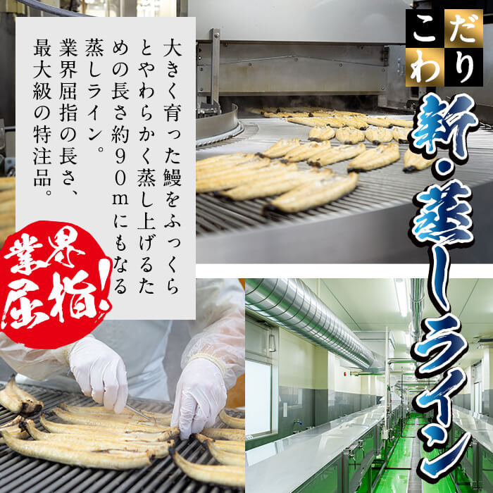鹿児島県志布志市のふるさと納税 日ノ本一の鰻の蒲焼き＜特大＞3尾セット(計705g以上) c2-009