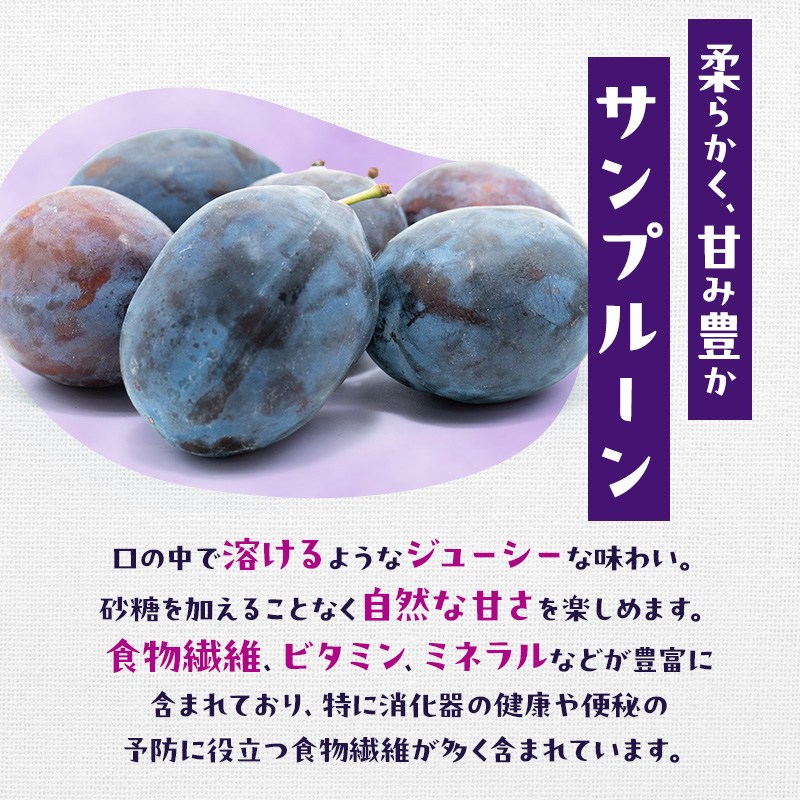 [先行受付/2026年] 仁木町の採れたて「サンプルーン」サイズ混載 2kg（500g×4パック） 北海道 仁木 果物 フルーツ プルーン [フルーツショップ妹尾観光農園]