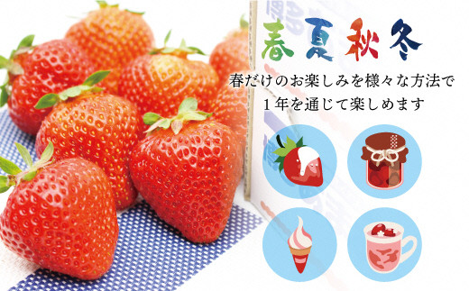 福岡県福津市のふるさと納税 冷凍「博多あまおう」800g×2袋　計1.6kg[F4001a]