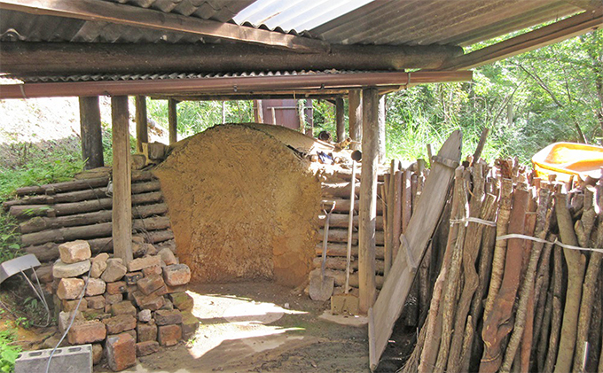 森のちから【五名の炭】6kg(配送不可:北海道・沖縄県・離島地域) 雑貨 日用品 